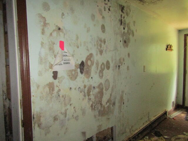 22 Shamrock Lane Damariscotta ME 04543