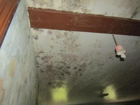 22 Shamrock Lane Damariscotta ME 04543