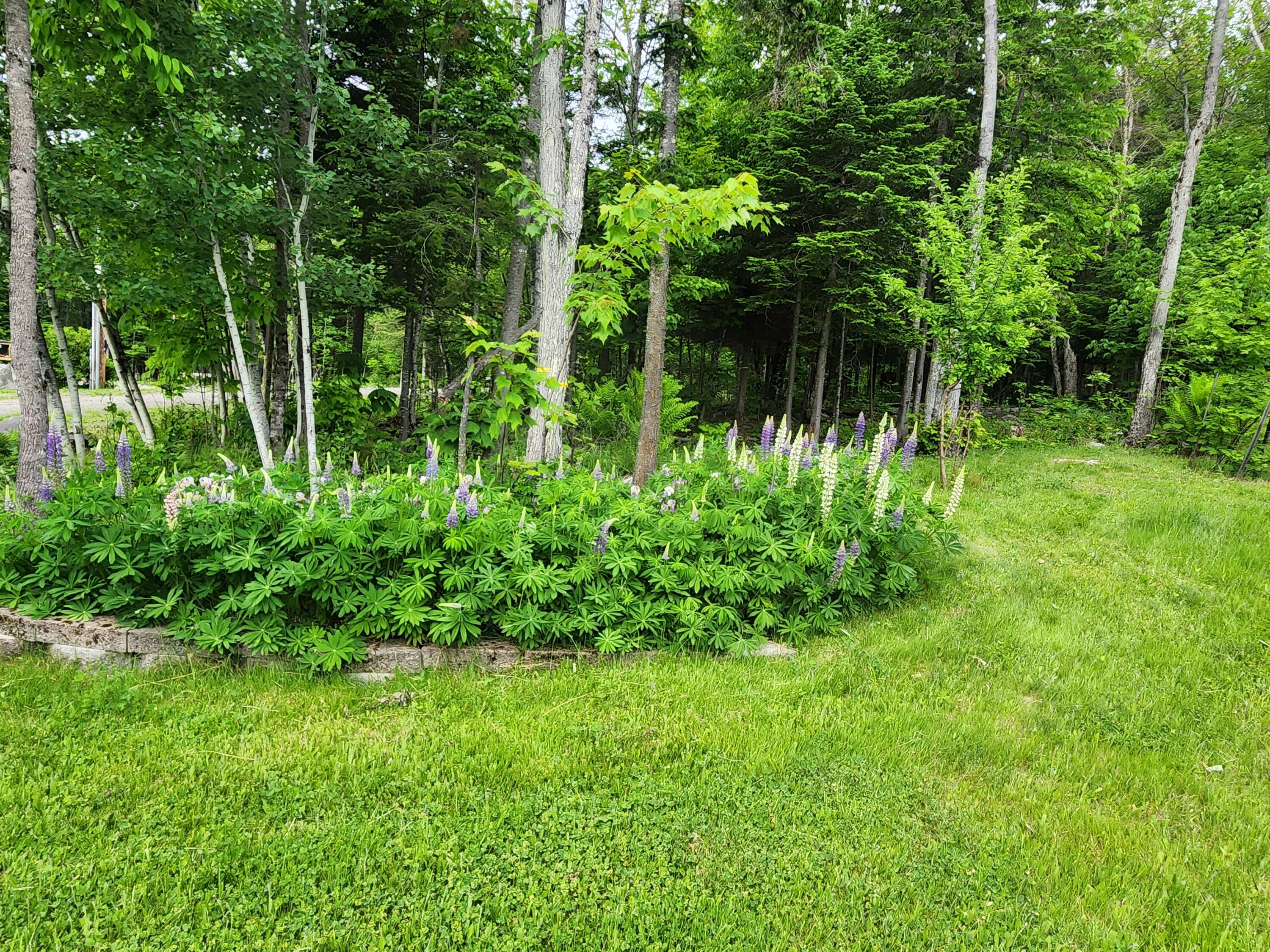 36 Deer Run Drive Jackman ME 04945