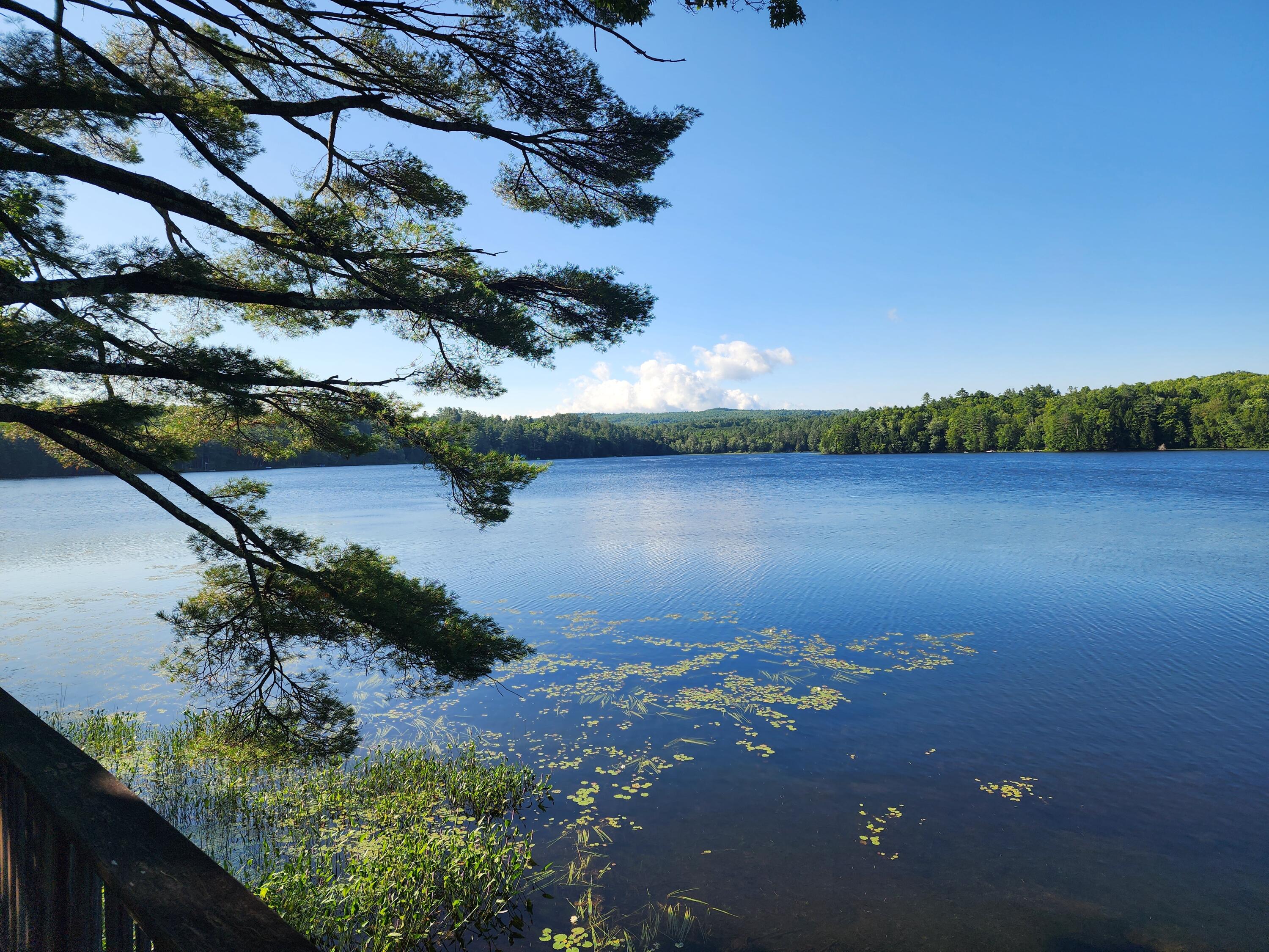 95 Pease Pond Road Wilton ME 04543