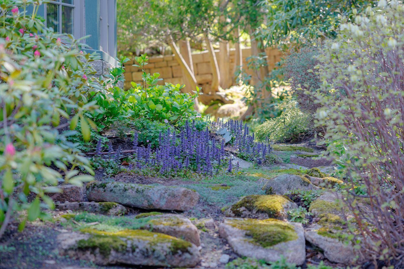 6 Cliffhanger Lane Mount Desert ME 04675