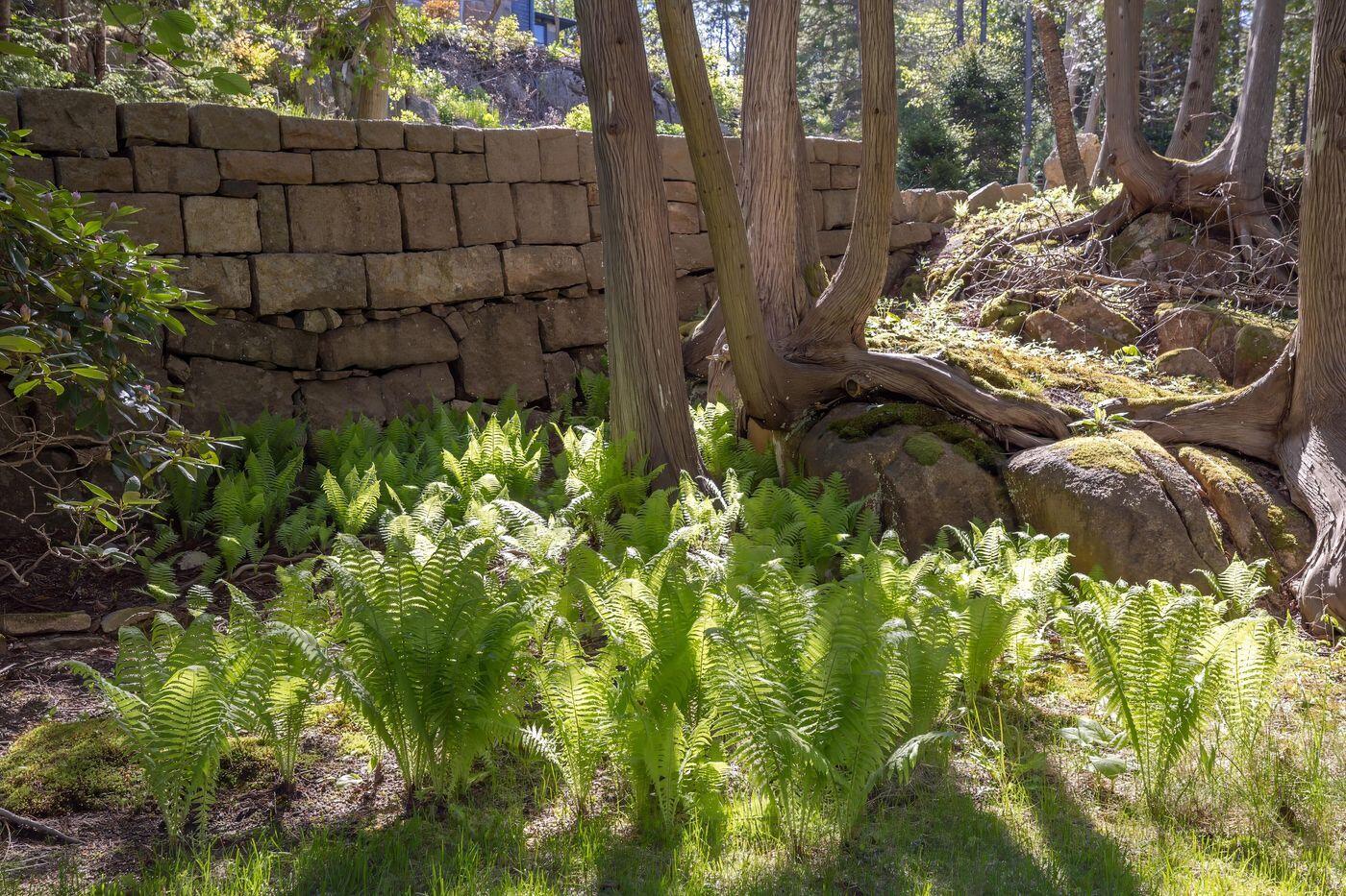 6 Cliffhanger Lane Mount Desert ME 04675