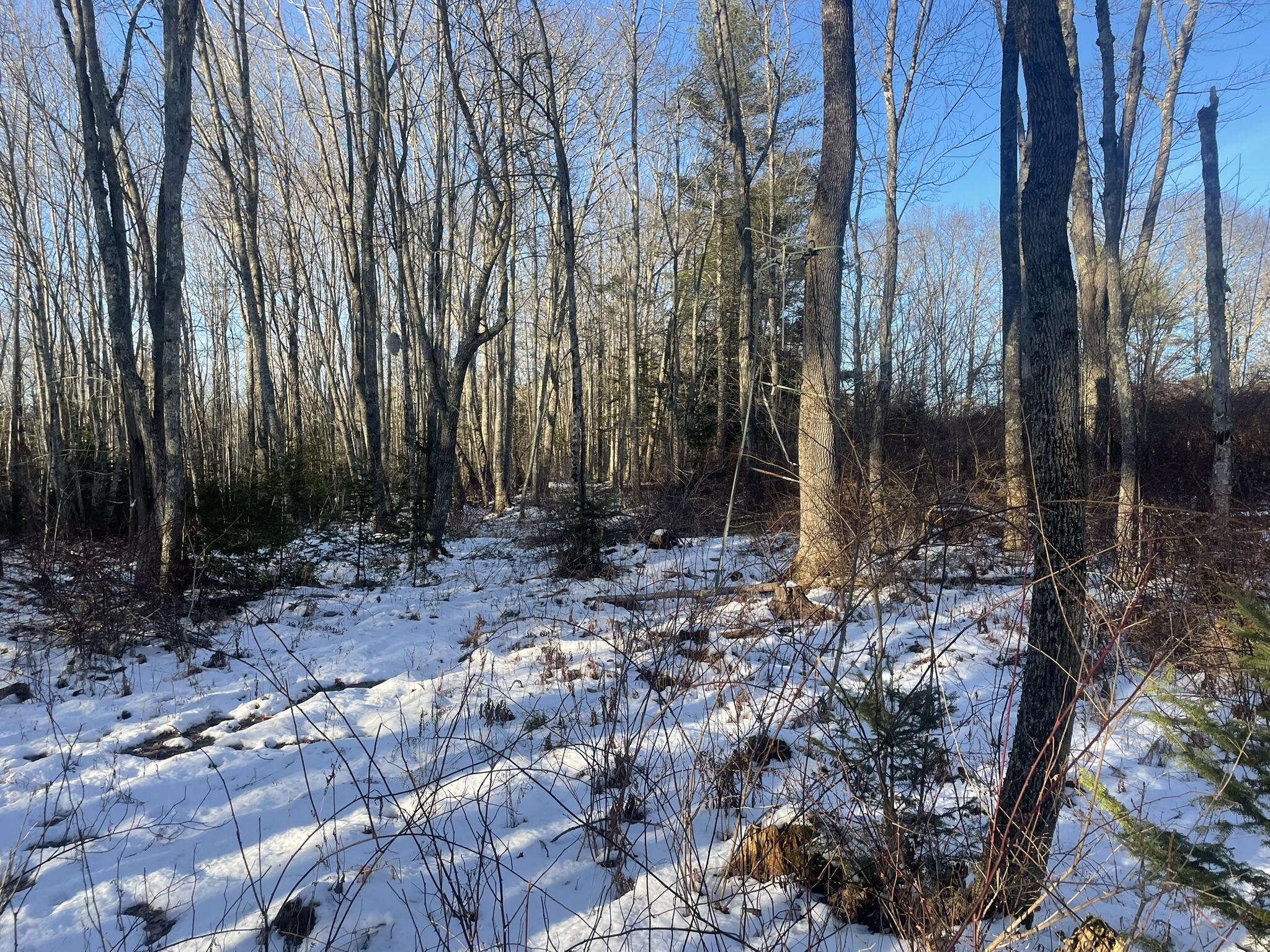 38 Jasmine Lane Union ME 04862