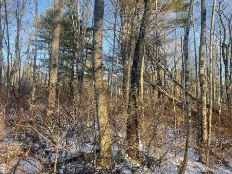 38 Jasmine Lane Union ME 04862