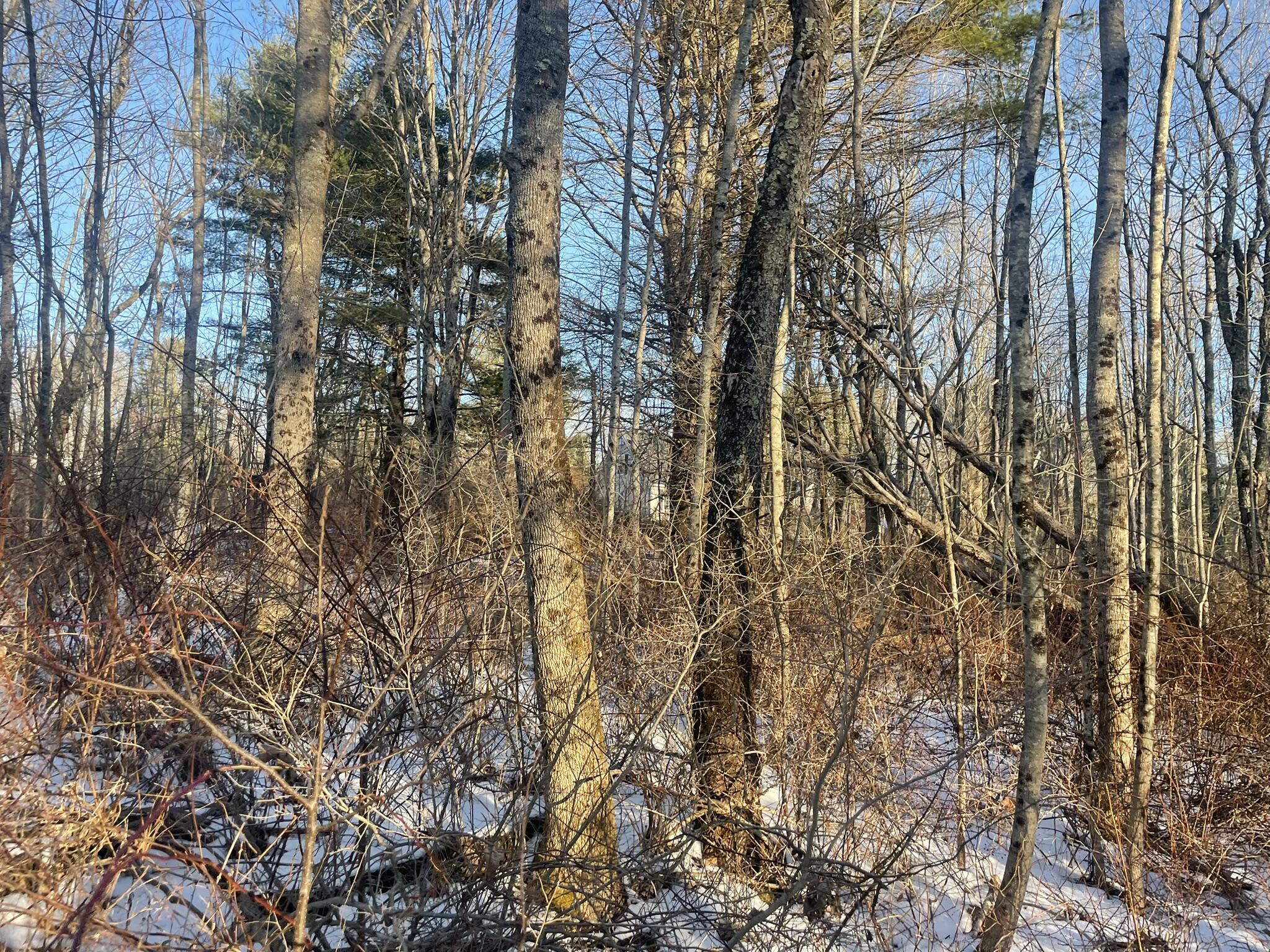 38 Jasmine Lane Union ME 04862