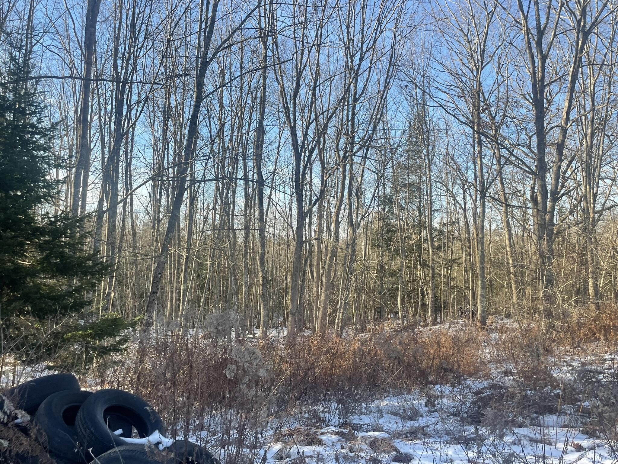 38 Jasmine Lane Union ME 04862