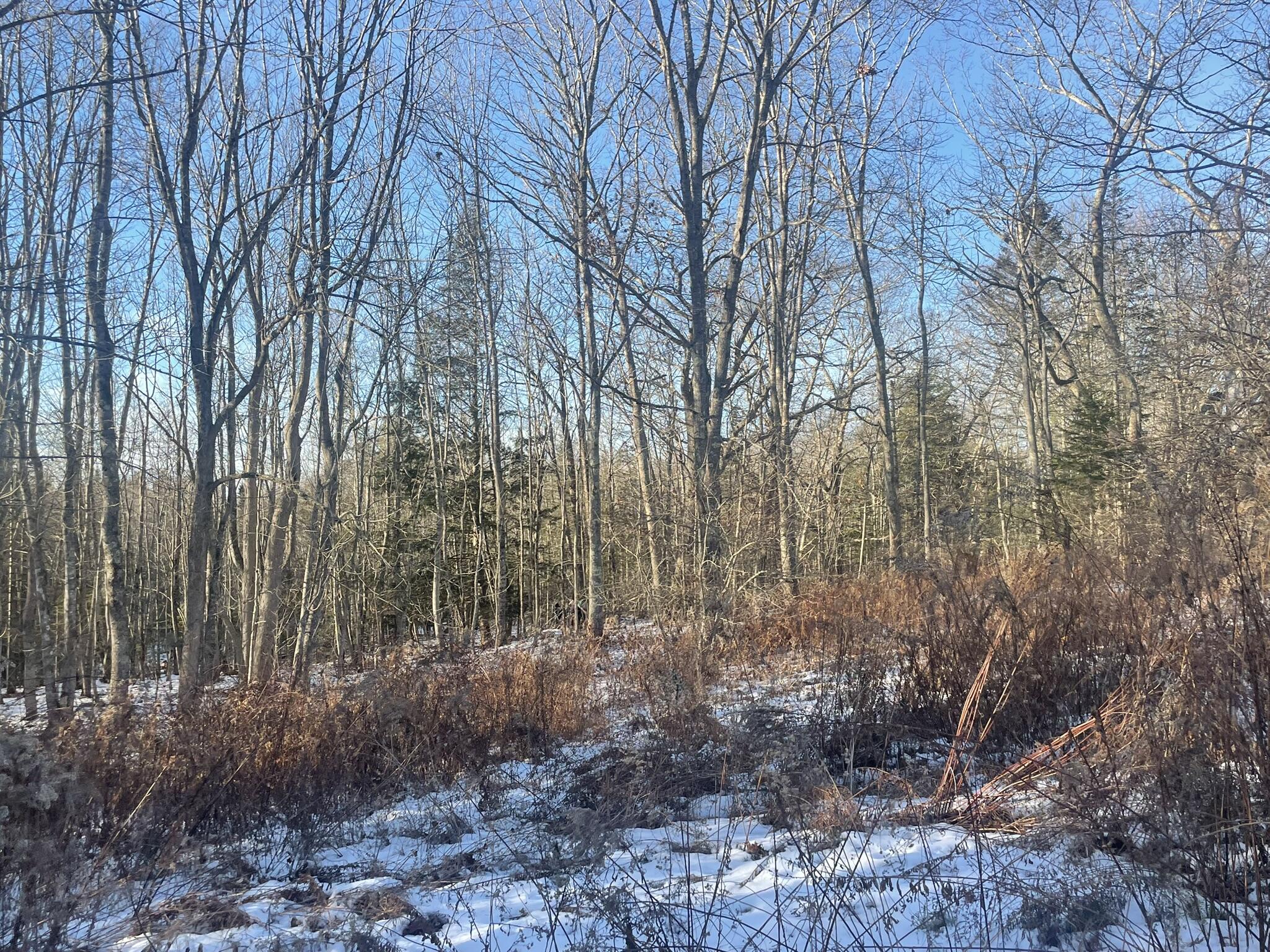 38 Jasmine Lane Union ME 04862