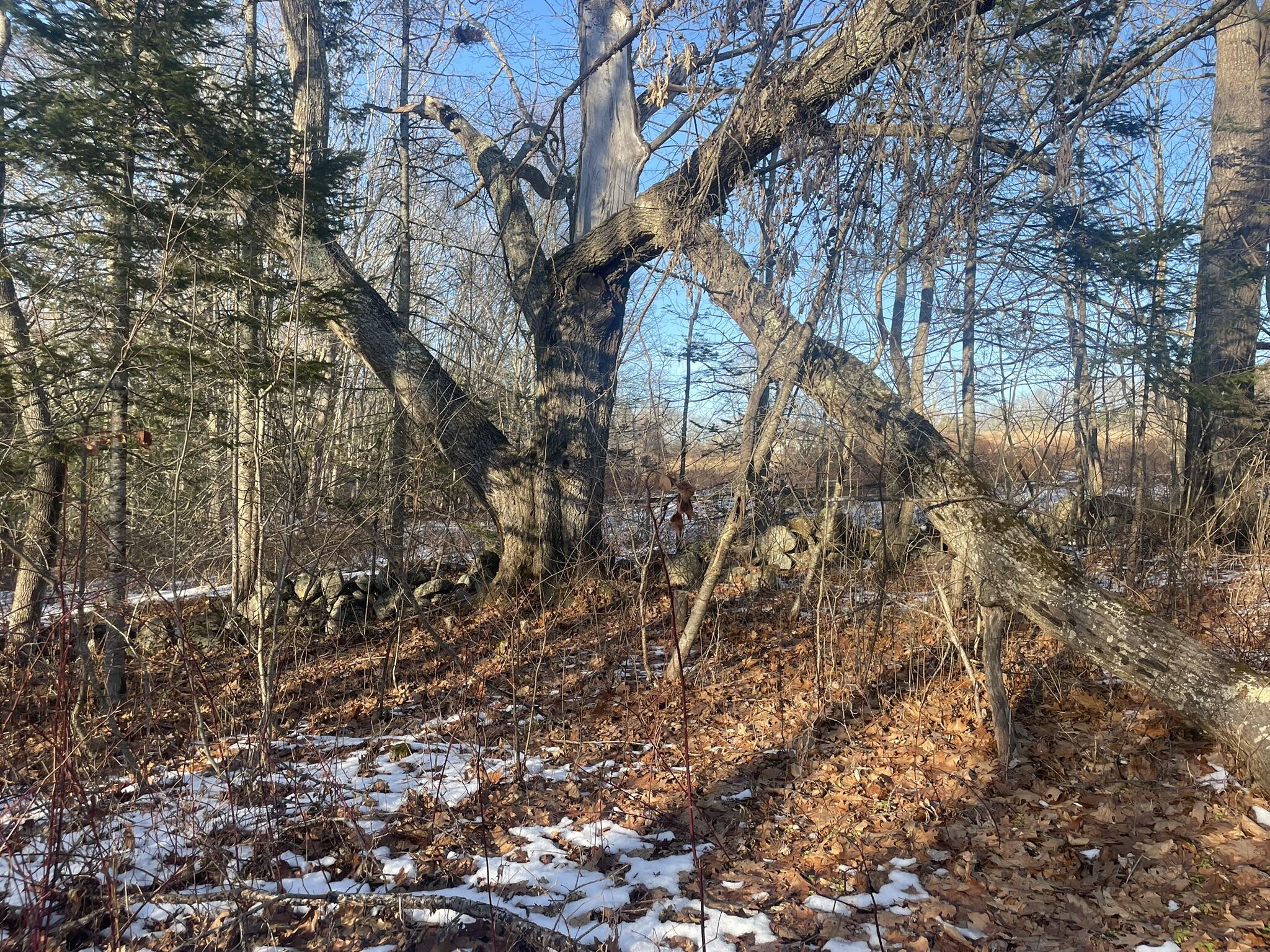 38 Jasmine Lane Union ME 04862