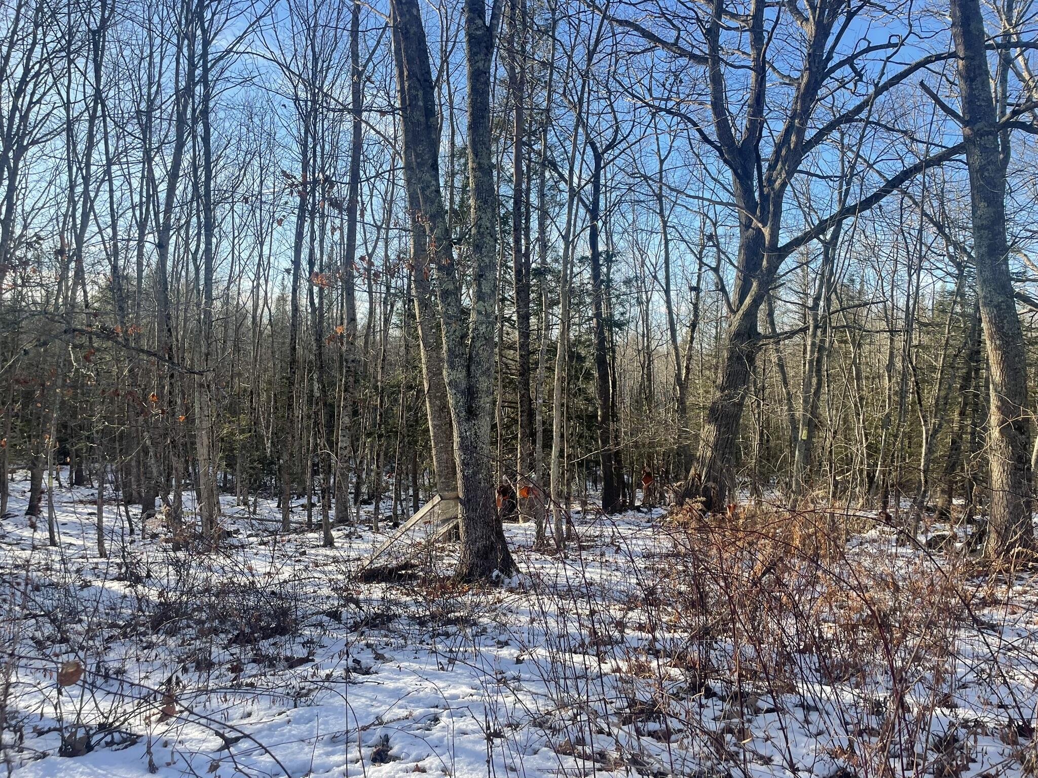 38 Jasmine Lane Union ME 04862