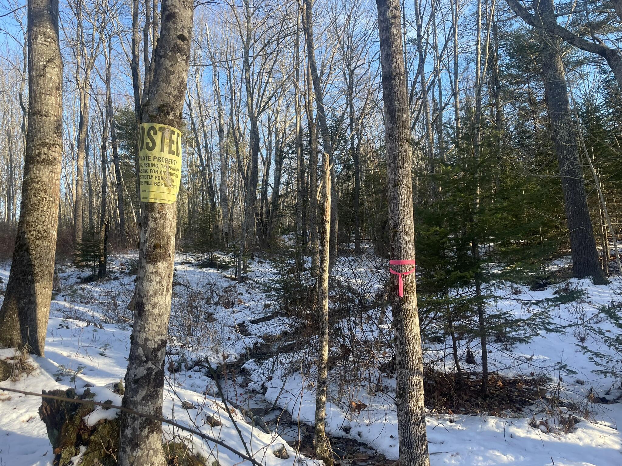 38 Jasmine Lane Union ME 04862