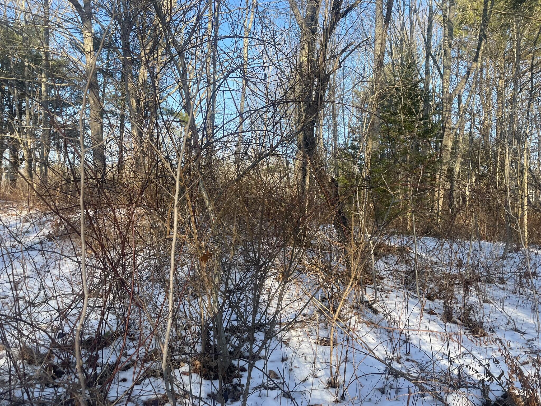 38 Jasmine Lane Union ME 04862