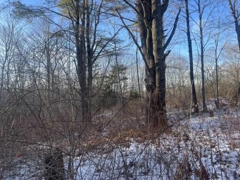 38 Jasmine Lane Union ME 04862