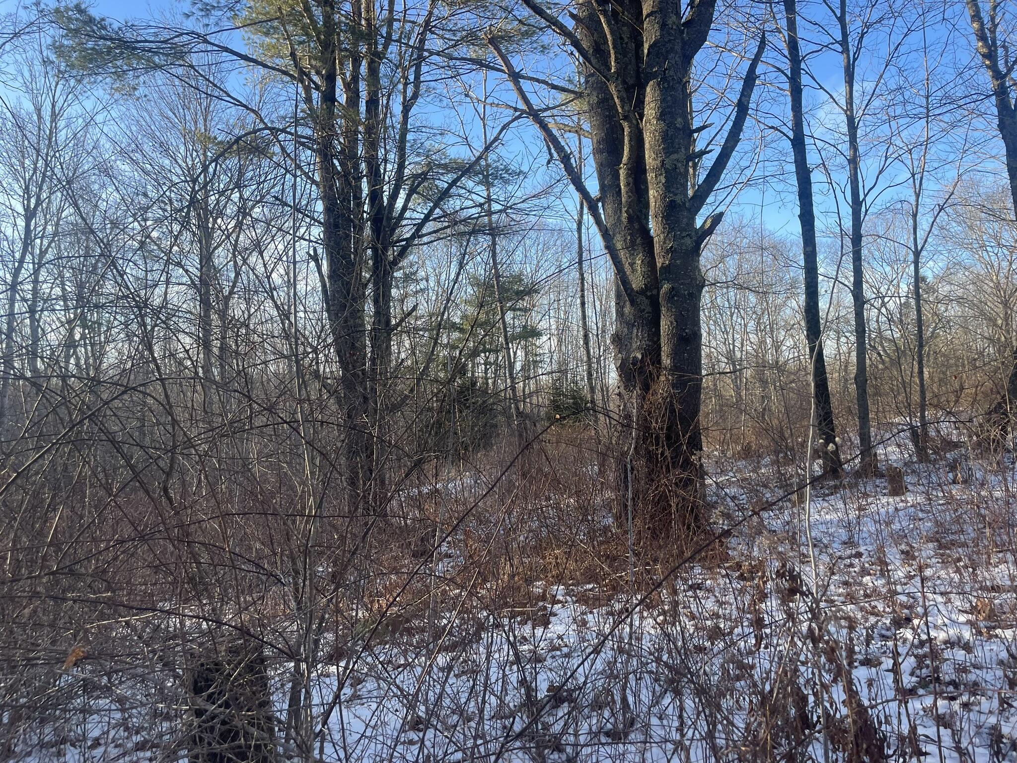 38 Jasmine Lane Union ME 04862