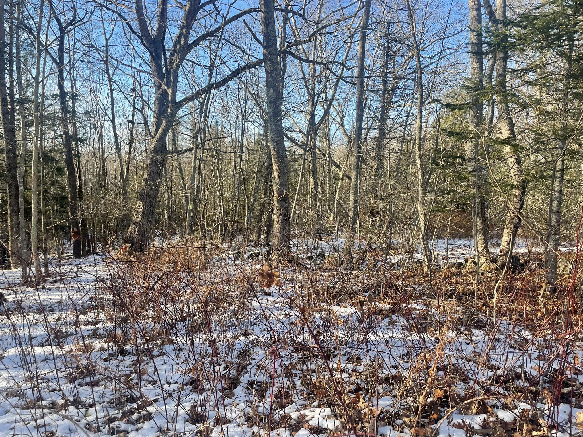 38 Jasmine Lane Union ME 04862