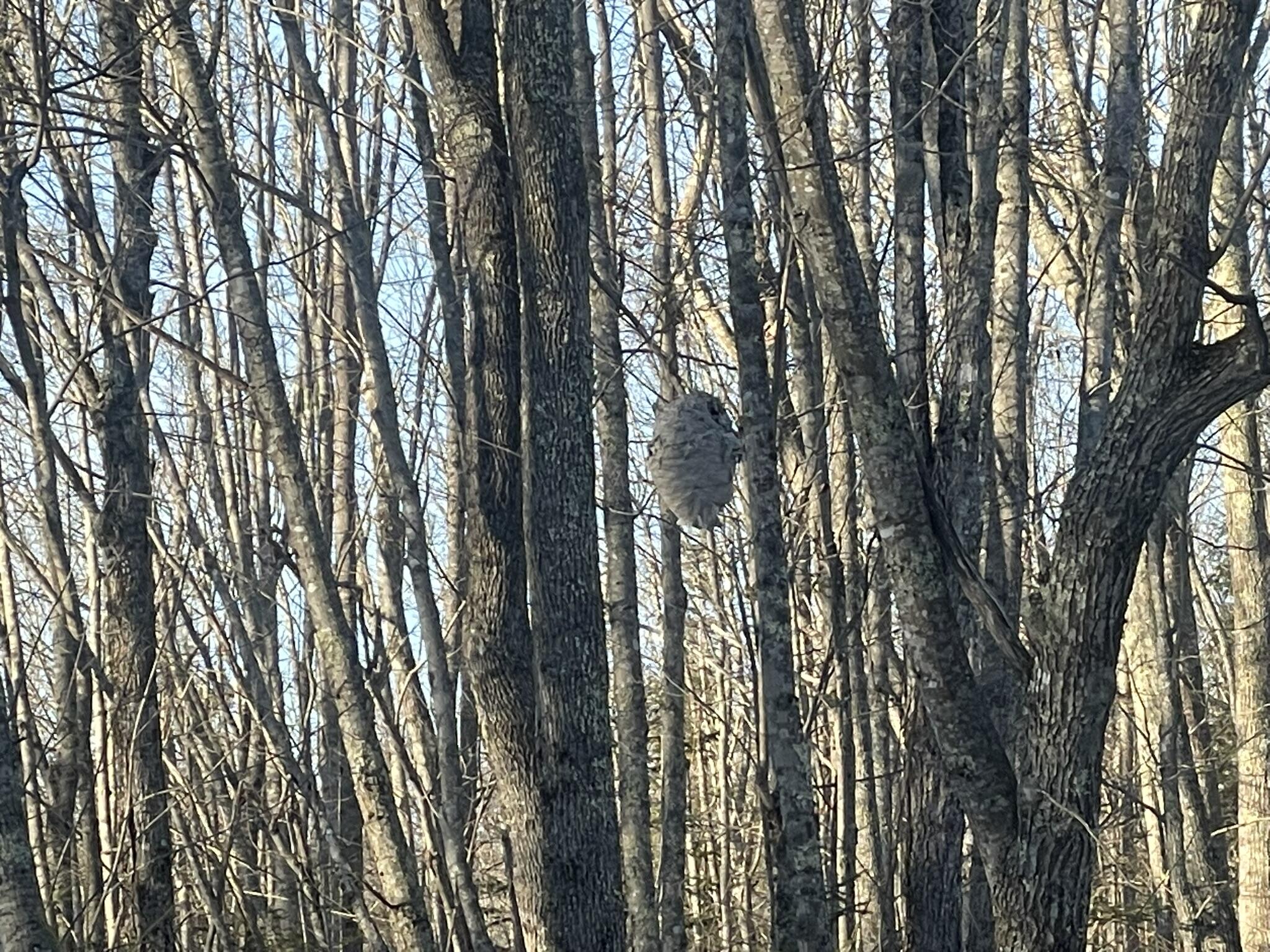 38 Jasmine Lane Union ME 04862