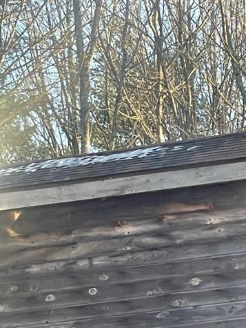 38 Jasmine Lane Union ME 04862