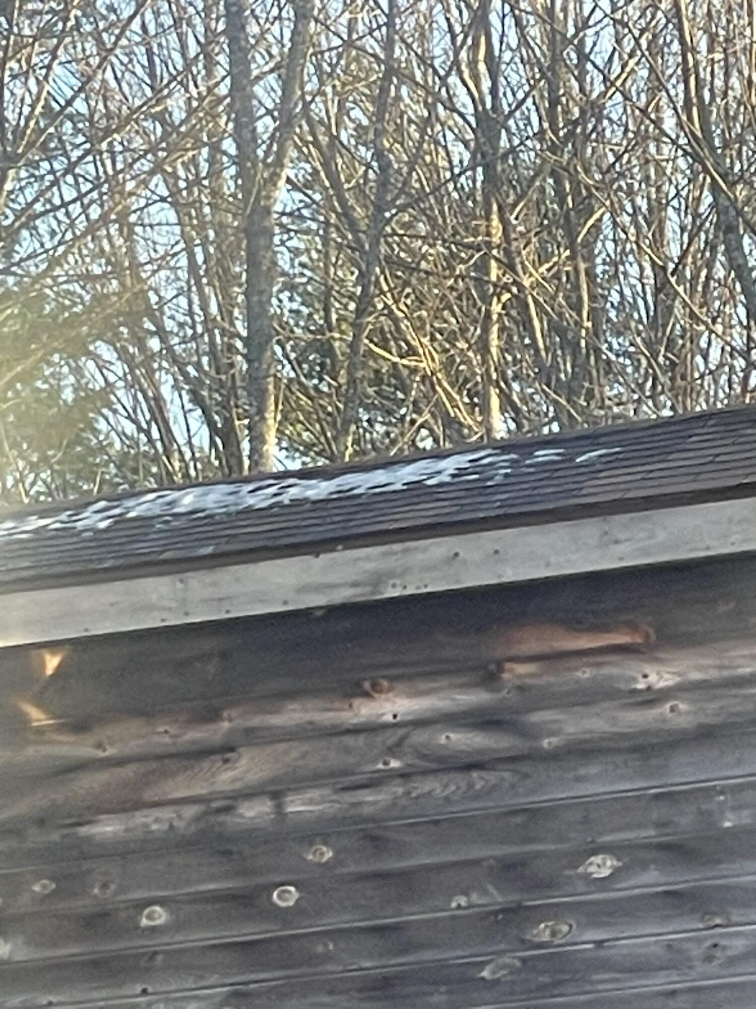 38 Jasmine Lane Union ME 04862