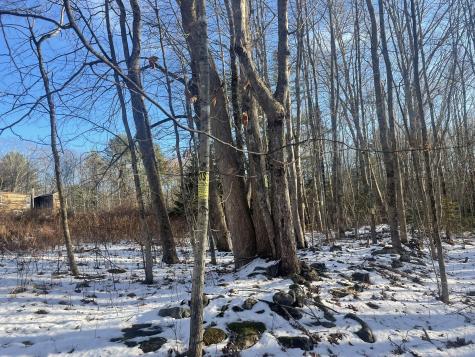 38 Jasmine Lane Union ME 04862