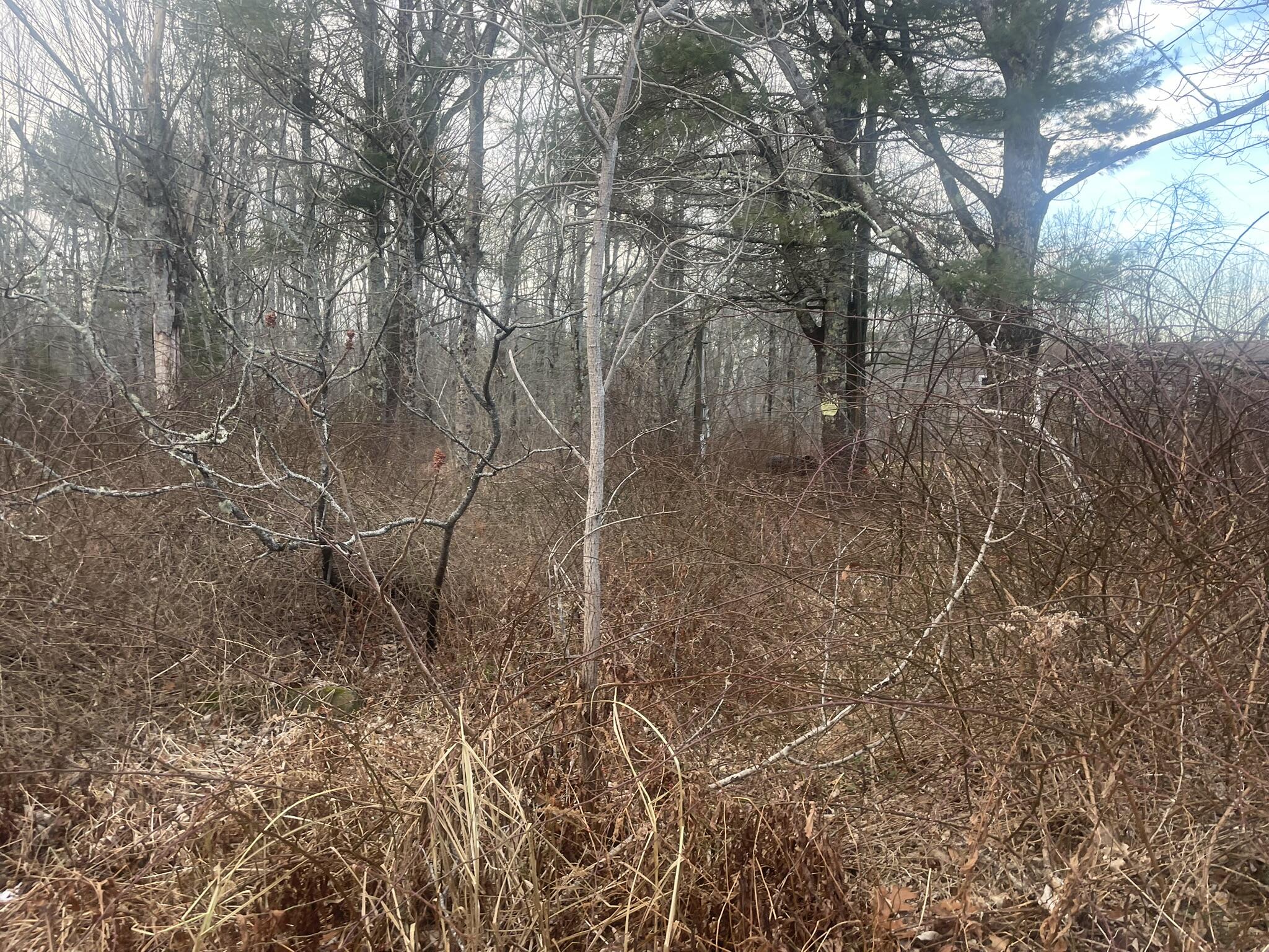 38 Jasmine Lane Union ME 04862