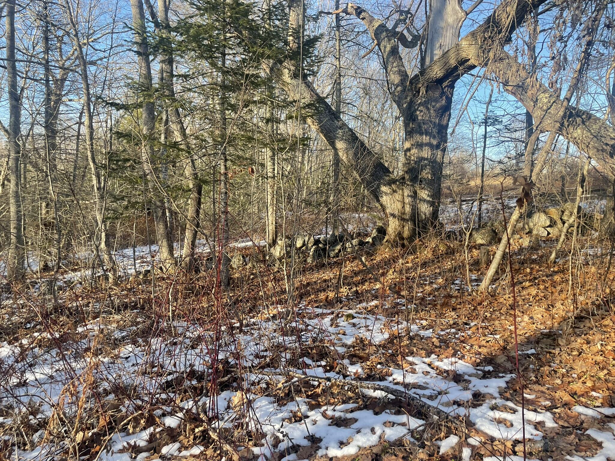 38 Jasmine Lane Union ME 04862