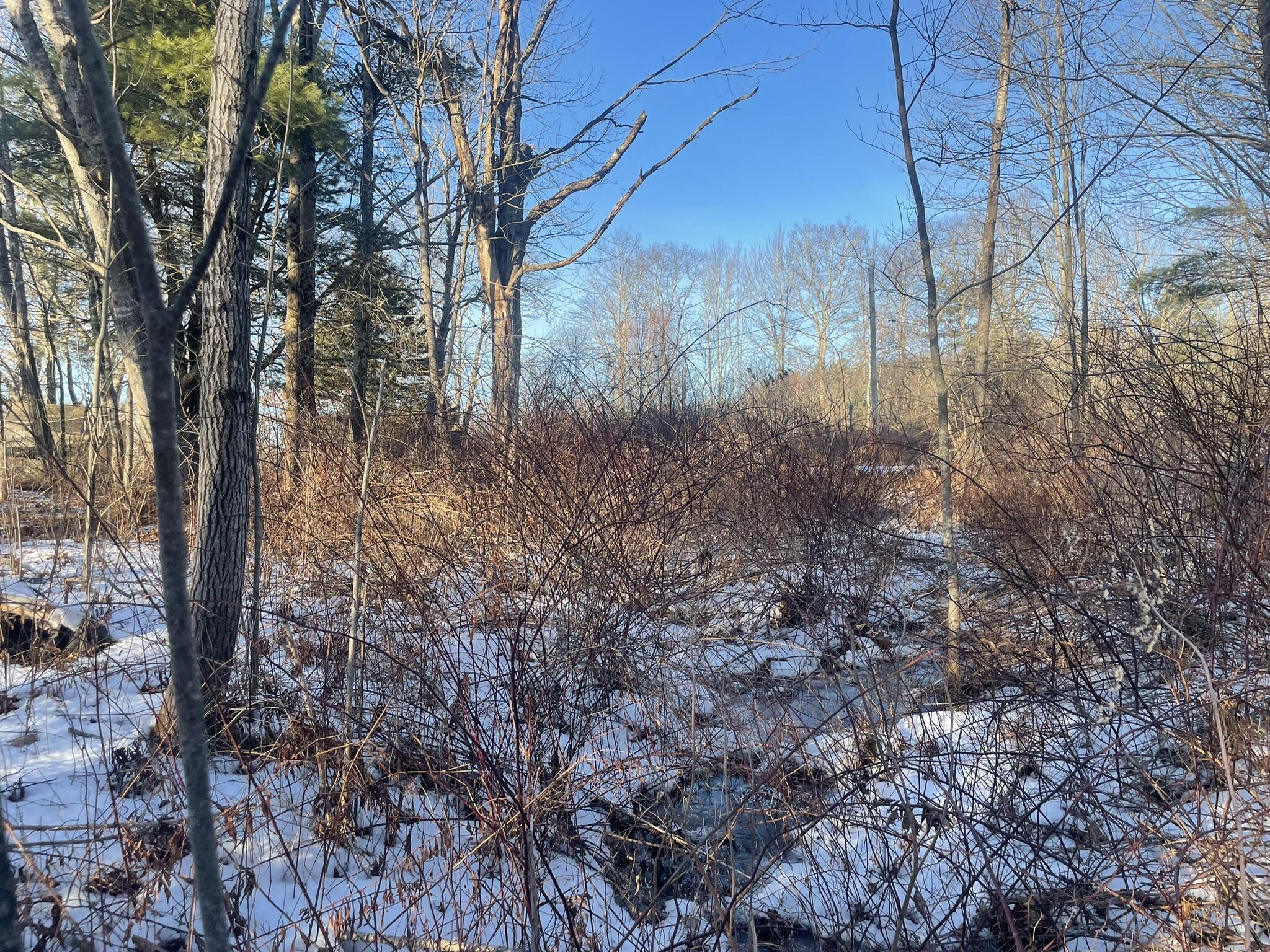 38 Jasmine Lane Union ME 04862