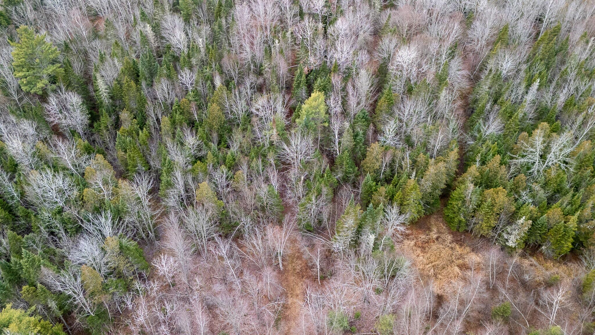 1735 Bangor Road Dover-foxcroft ME 04426