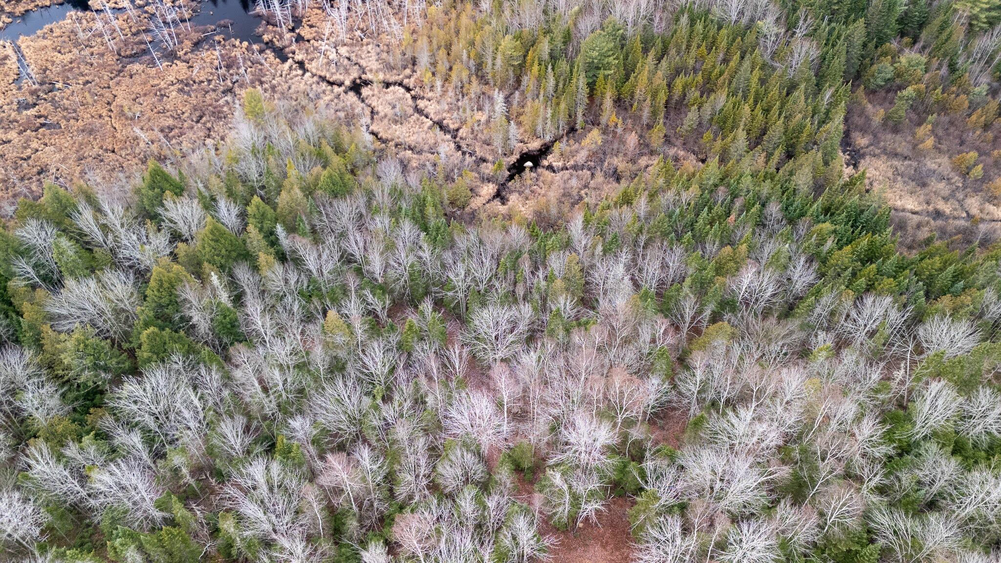 1735 Bangor Road Dover-foxcroft ME 04426