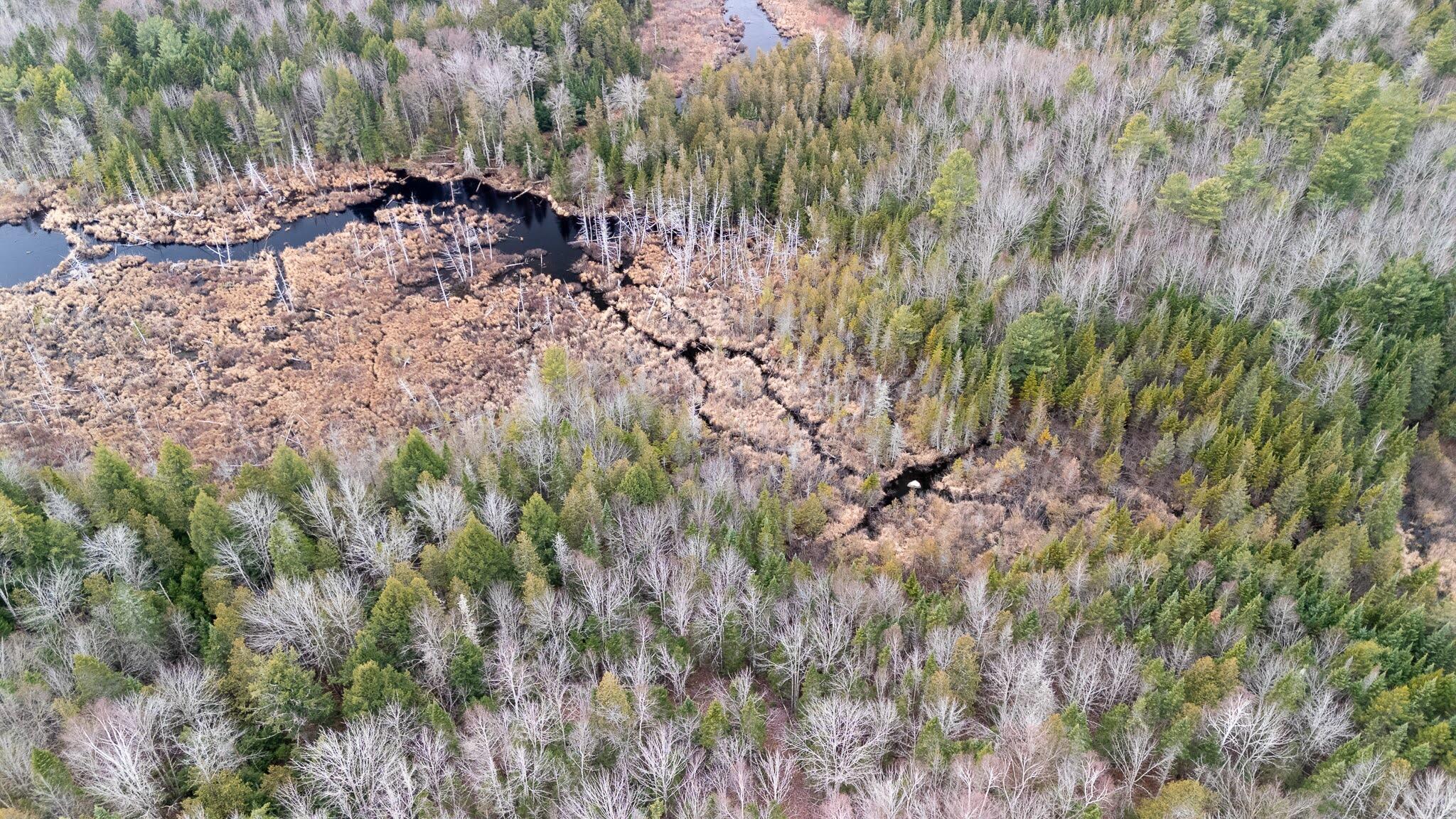 1735 Bangor Road Dover-foxcroft ME 04426