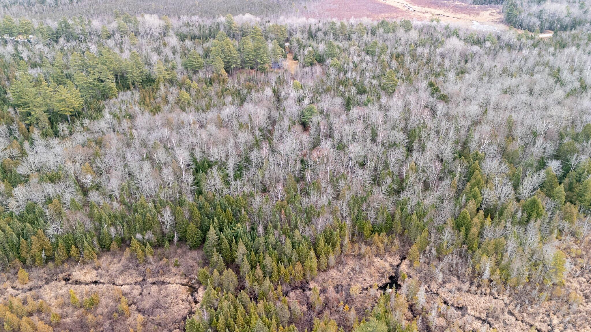 1735 Bangor Road Dover-foxcroft ME 04426