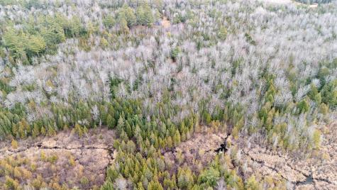 1735 Bangor Road Dover-foxcroft ME 04426