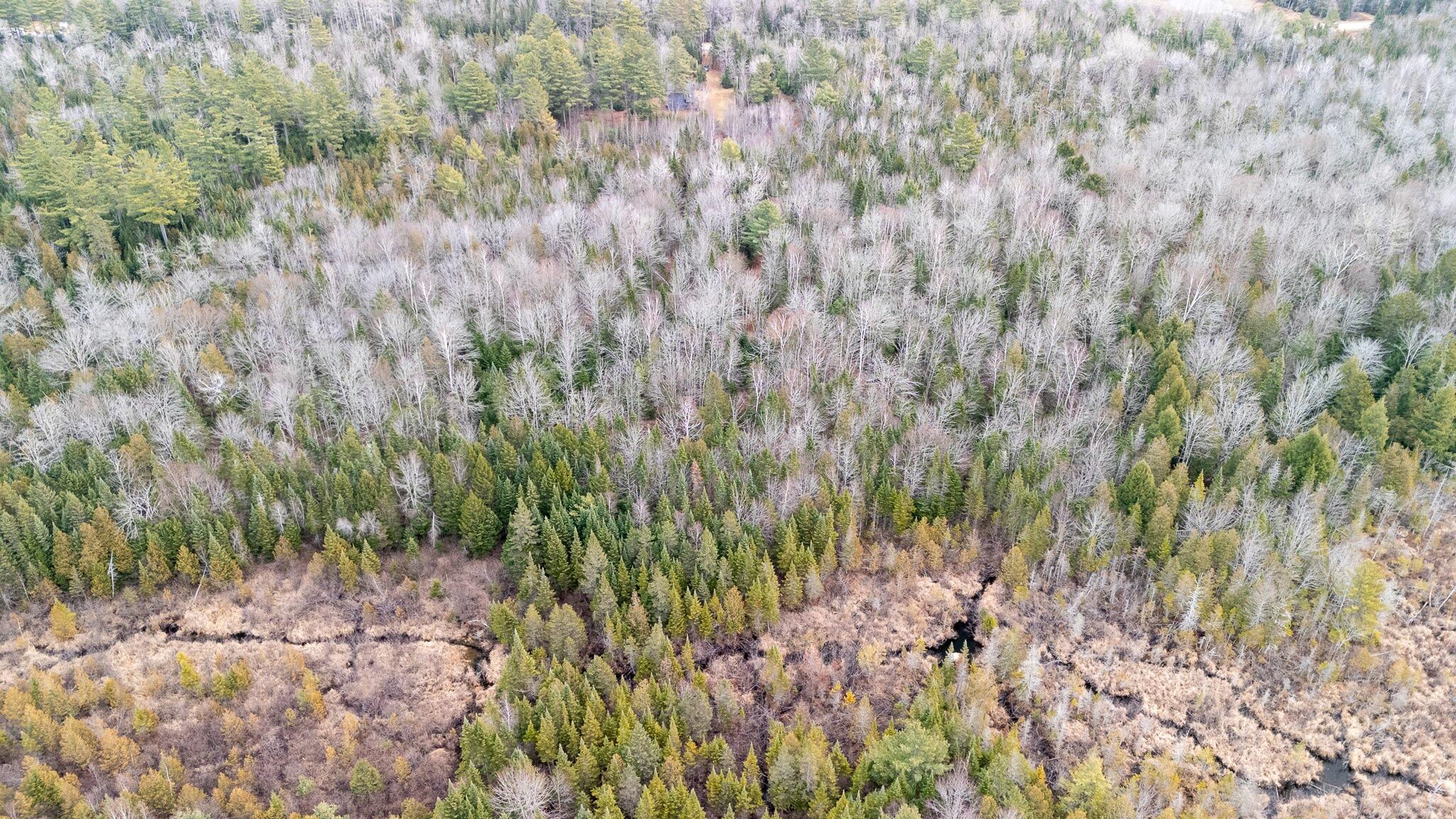 1735 Bangor Road Dover-foxcroft ME 04426