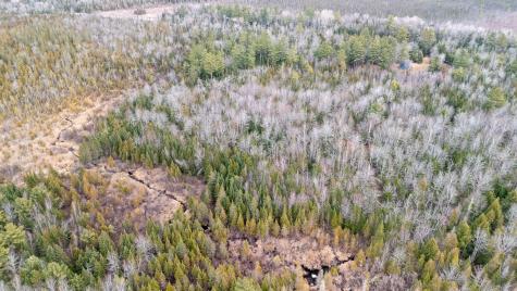 1735 Bangor Road Dover-foxcroft ME 04426