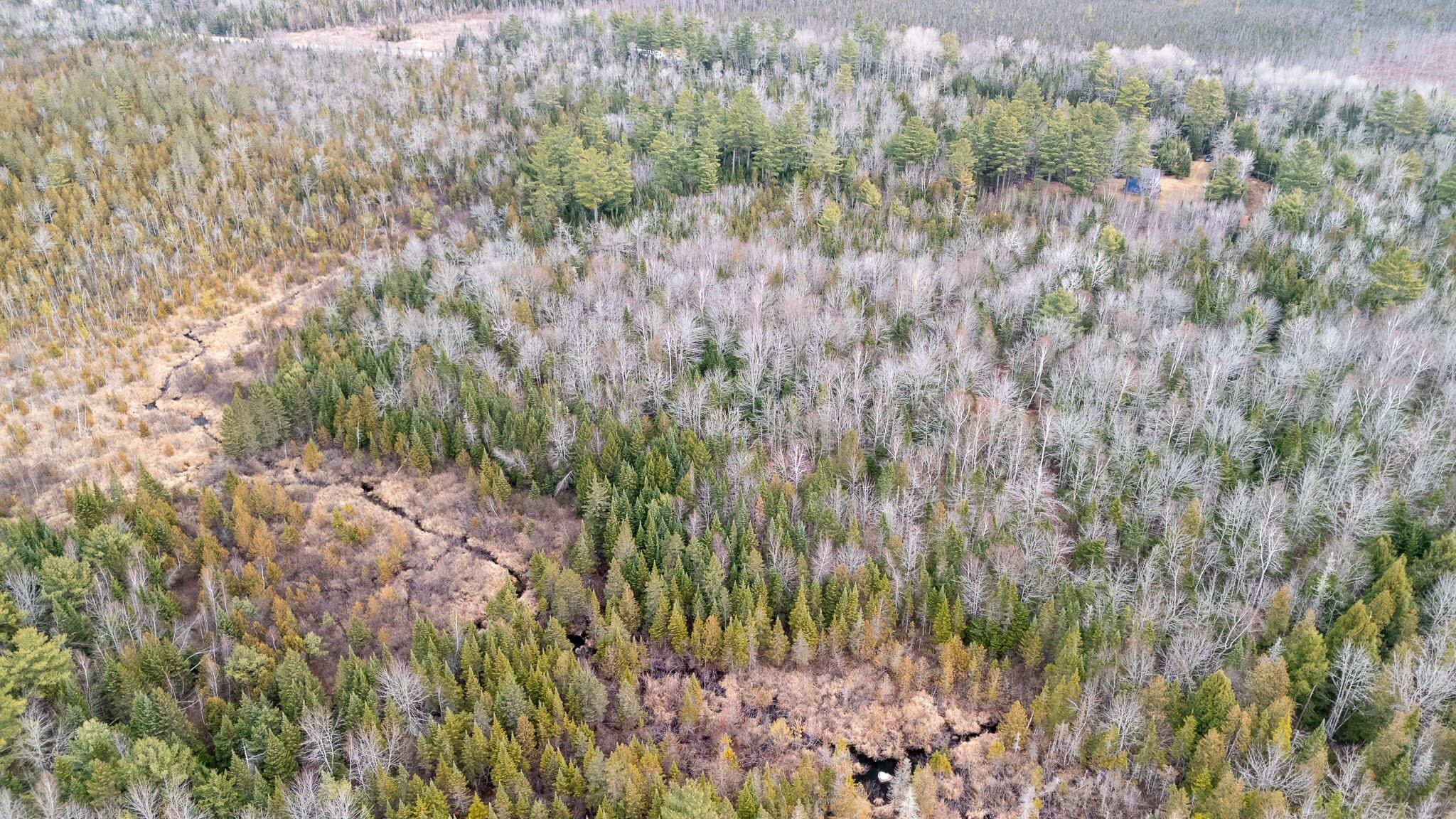 1735 Bangor Road Dover-foxcroft ME 04426