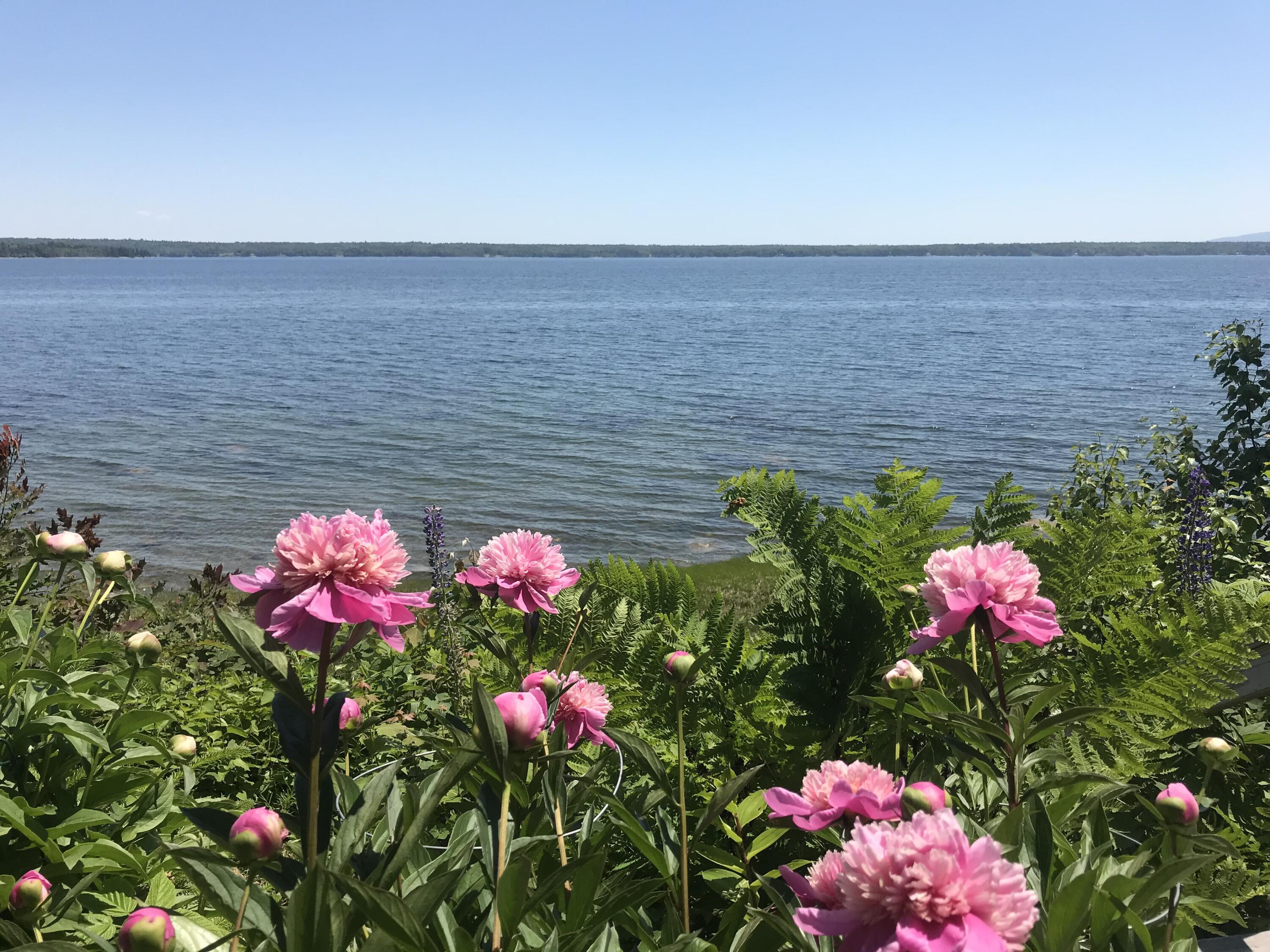 494 Newbury Neck Road Surry ME 04684