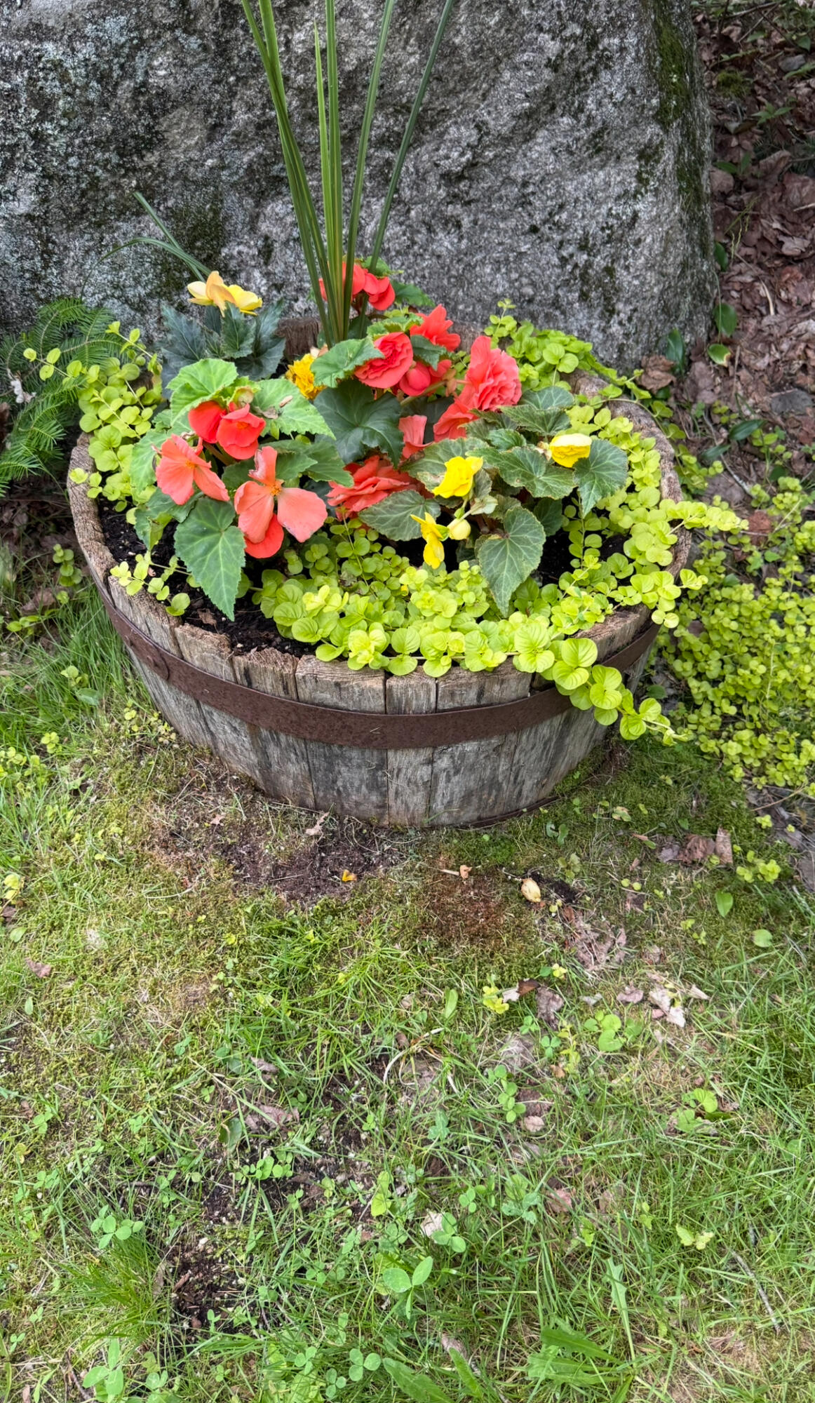 494 Newbury Neck Road Surry ME 04684