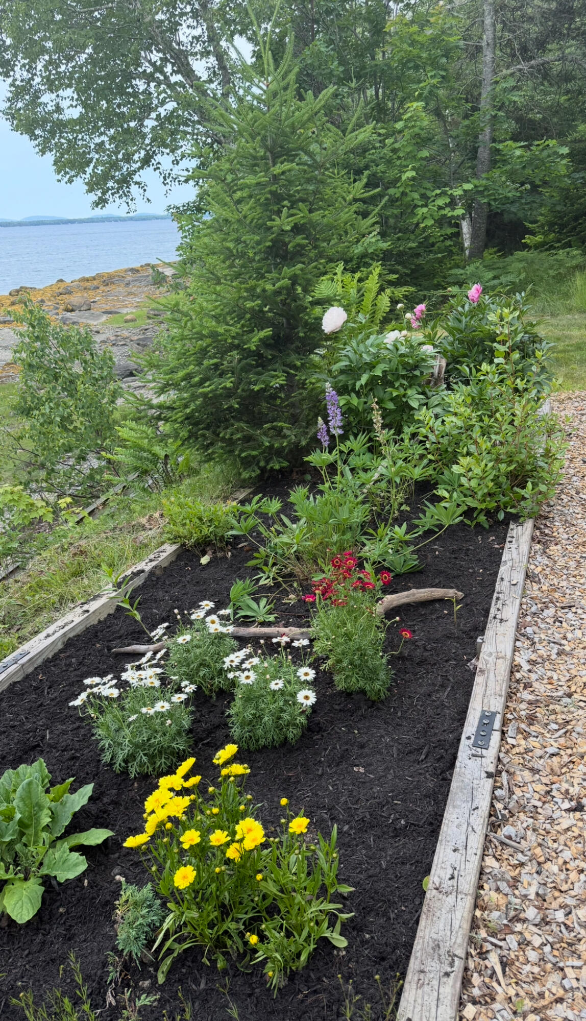 494 Newbury Neck Road Surry ME 04684