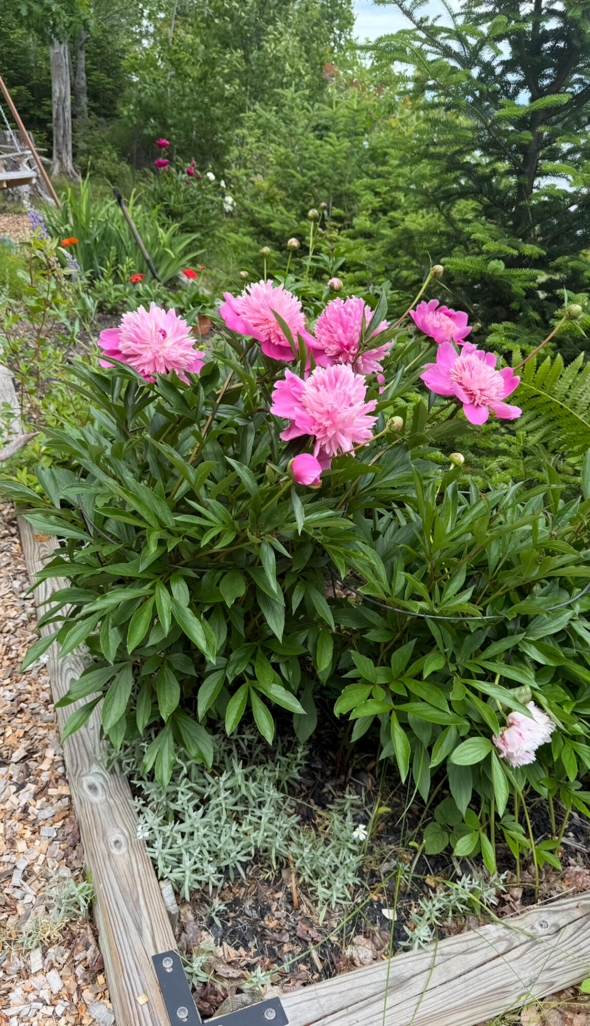 494 Newbury Neck Road Surry ME 04684