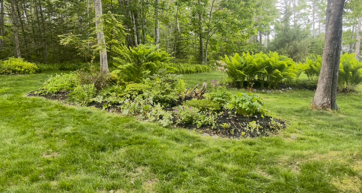 494 Newbury Neck Road Surry ME 04684