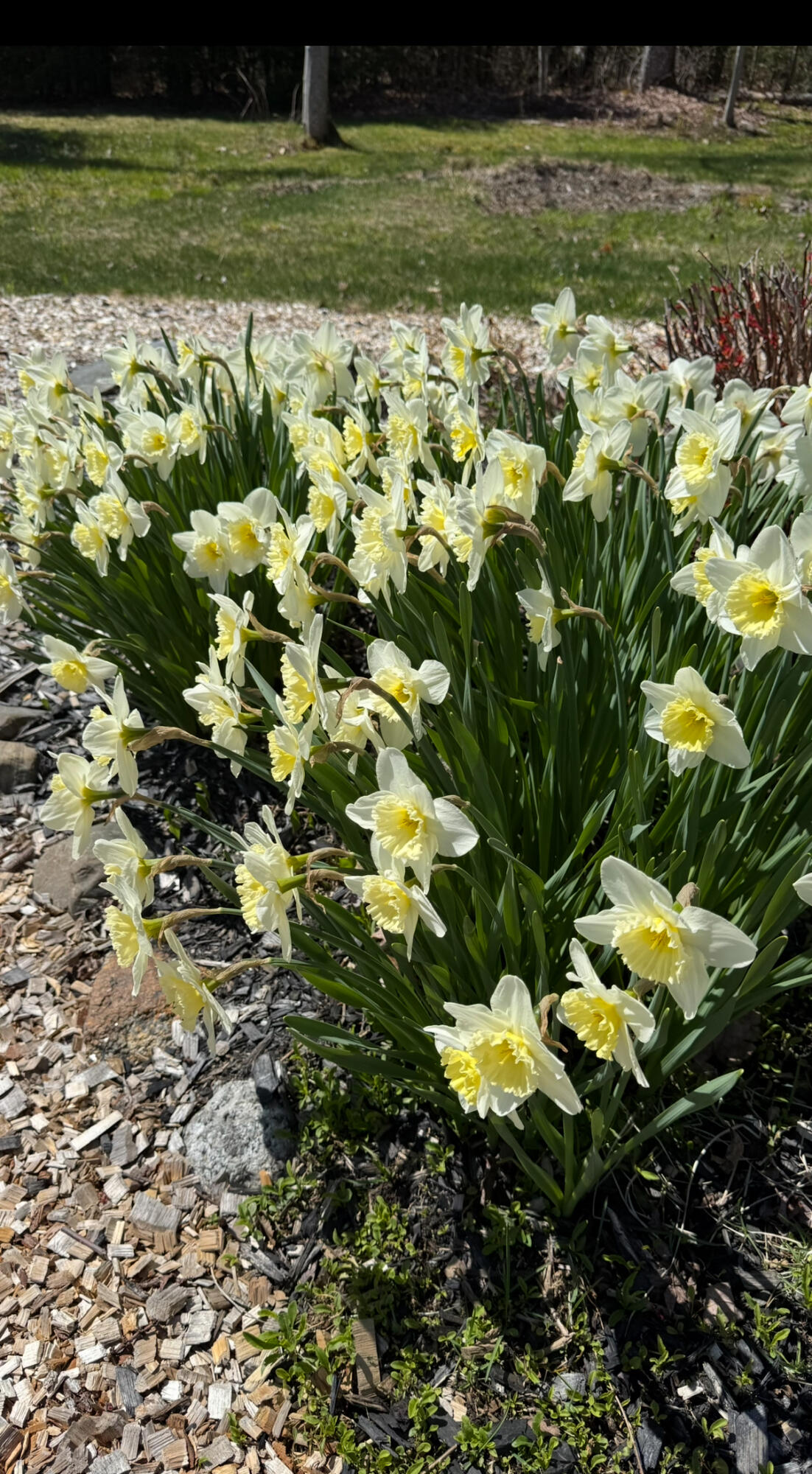 494 Newbury Neck Road Surry ME 04684