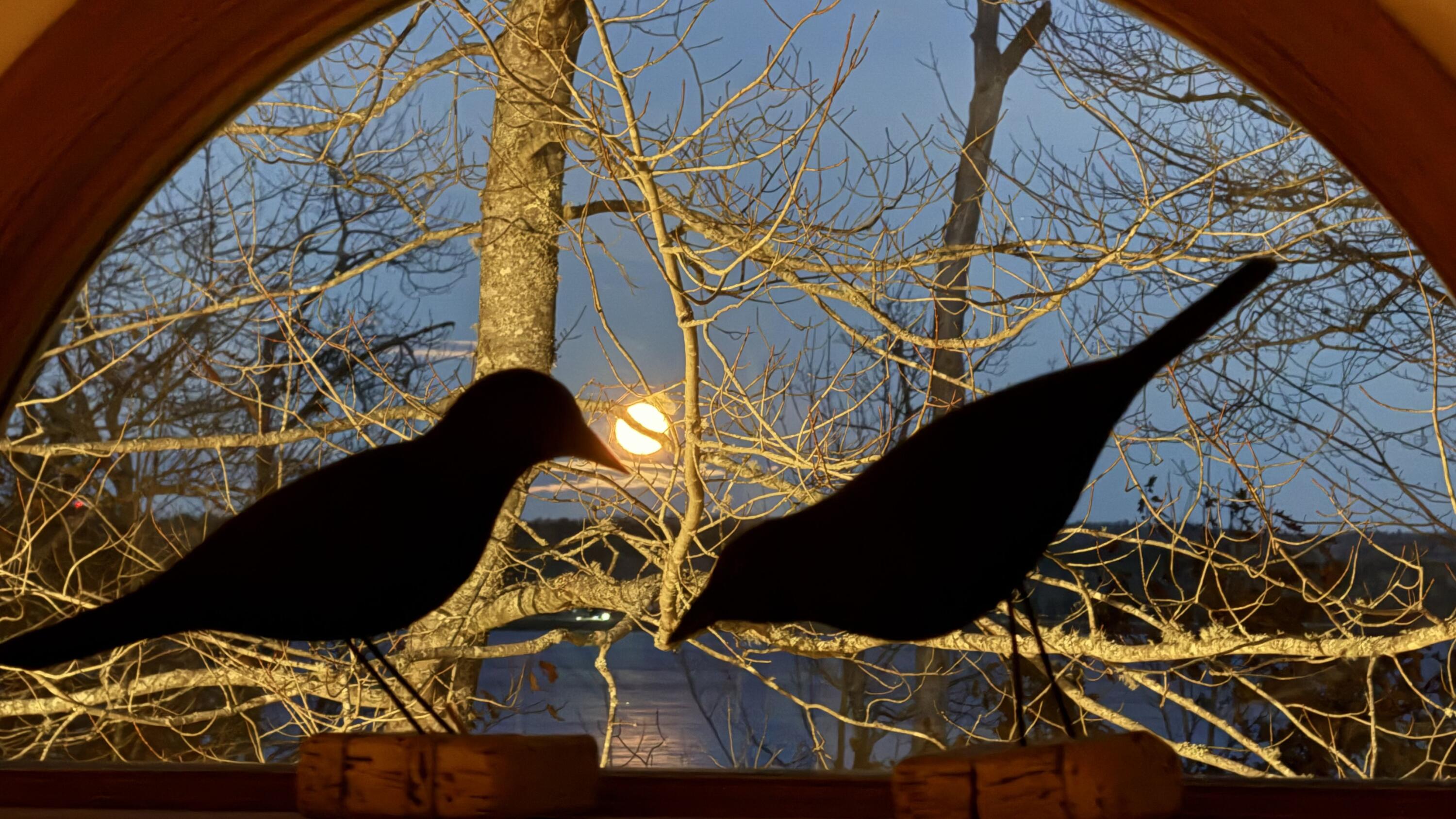 494 Newbury Neck Road Surry ME 04684