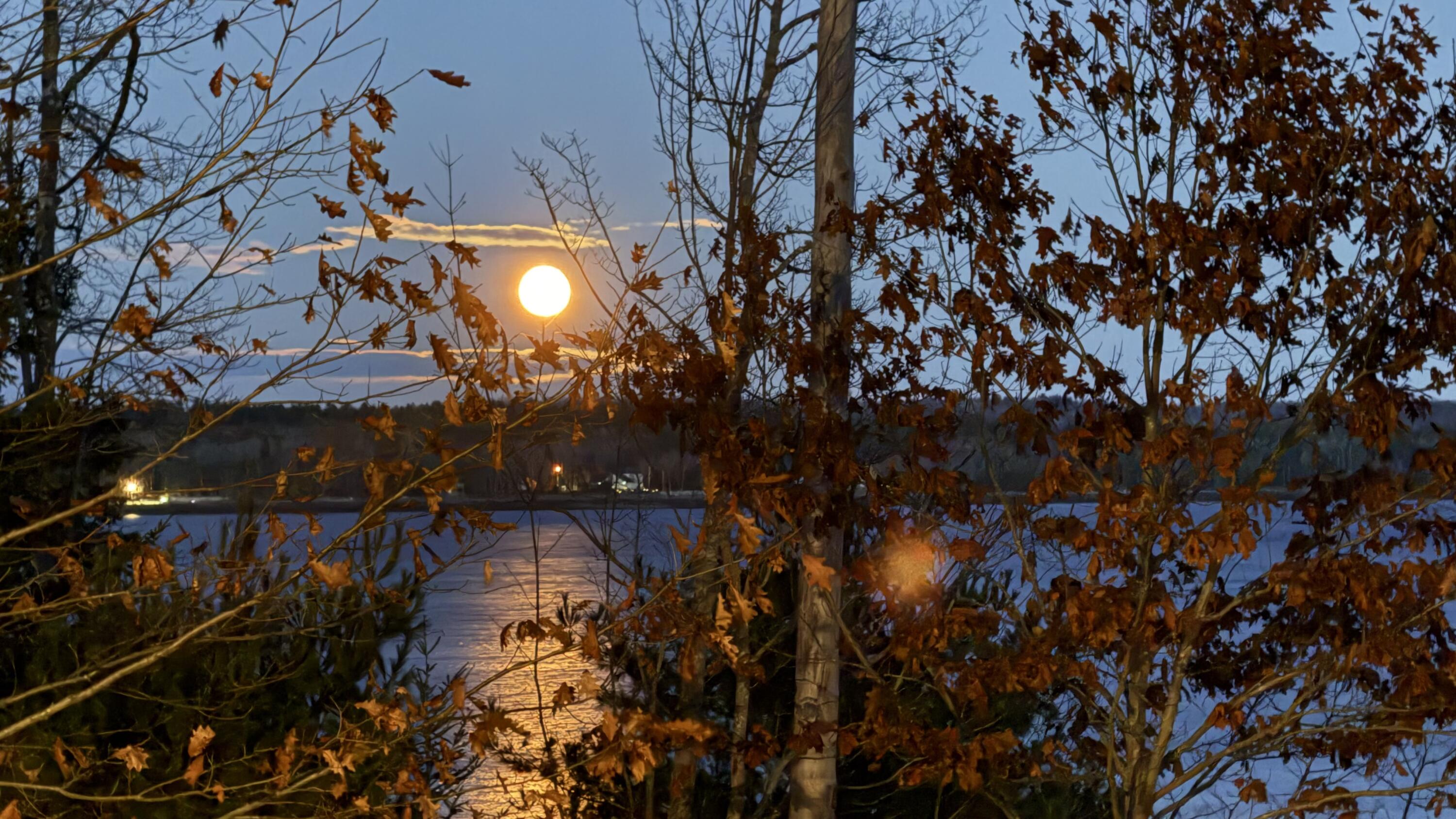 494 Newbury Neck Road Surry ME 04684