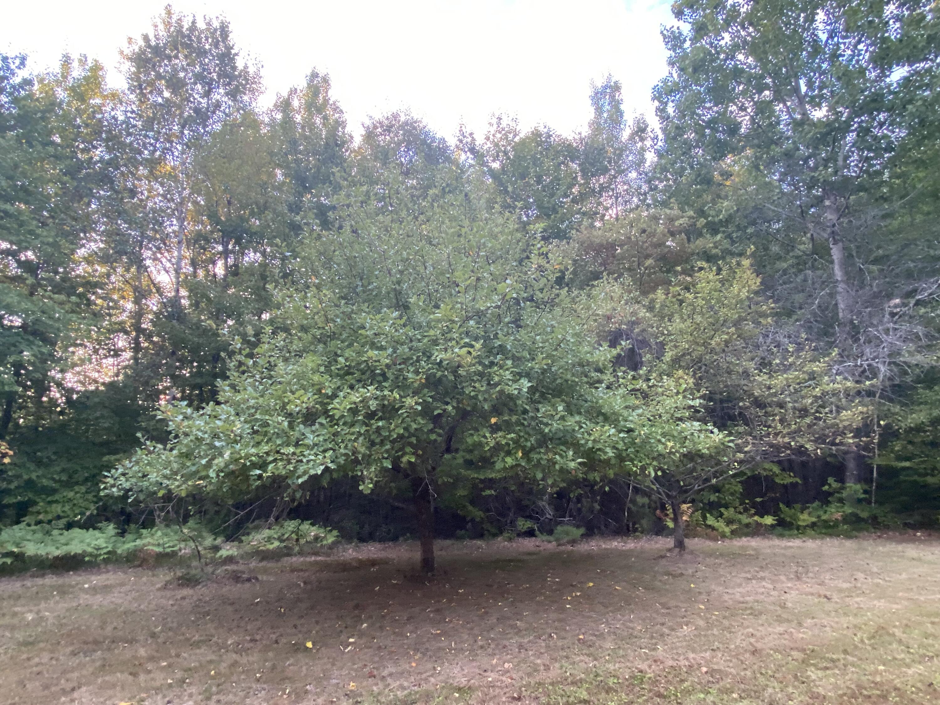 51 Daggett Hill Road Athens ME 04912