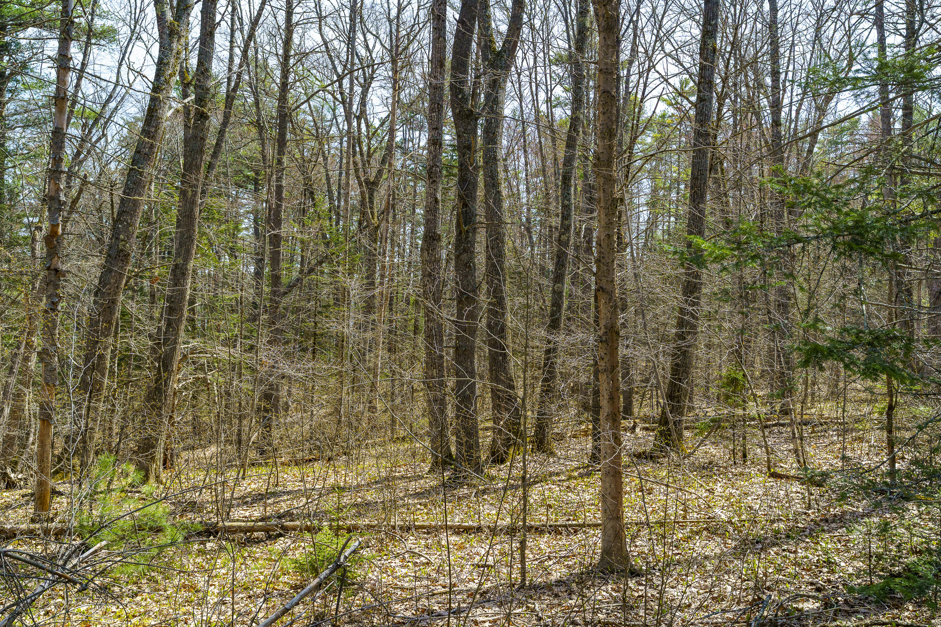 38 Beach Lane Damariscotta ME 04543