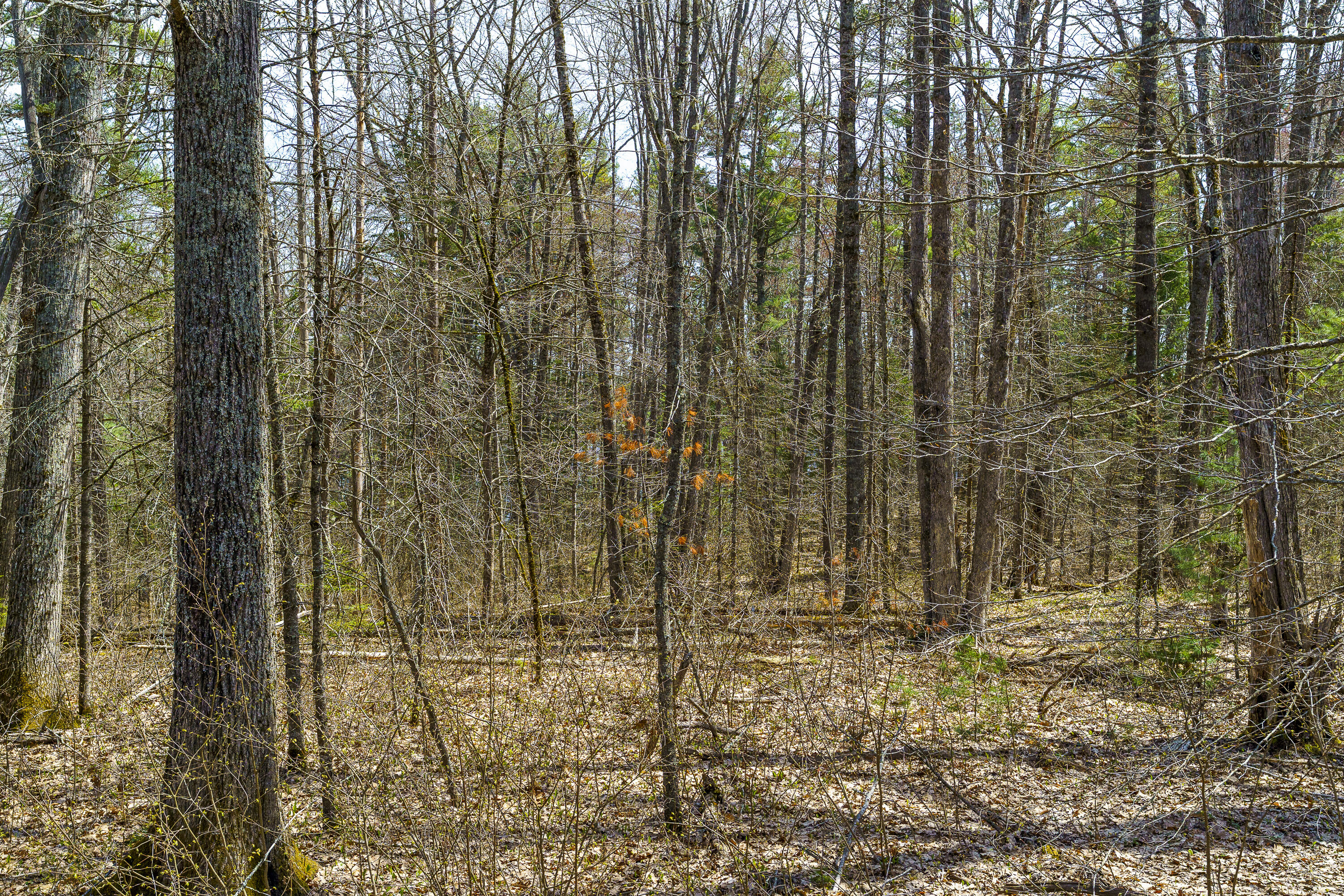 38 Beach Lane Damariscotta ME 04543