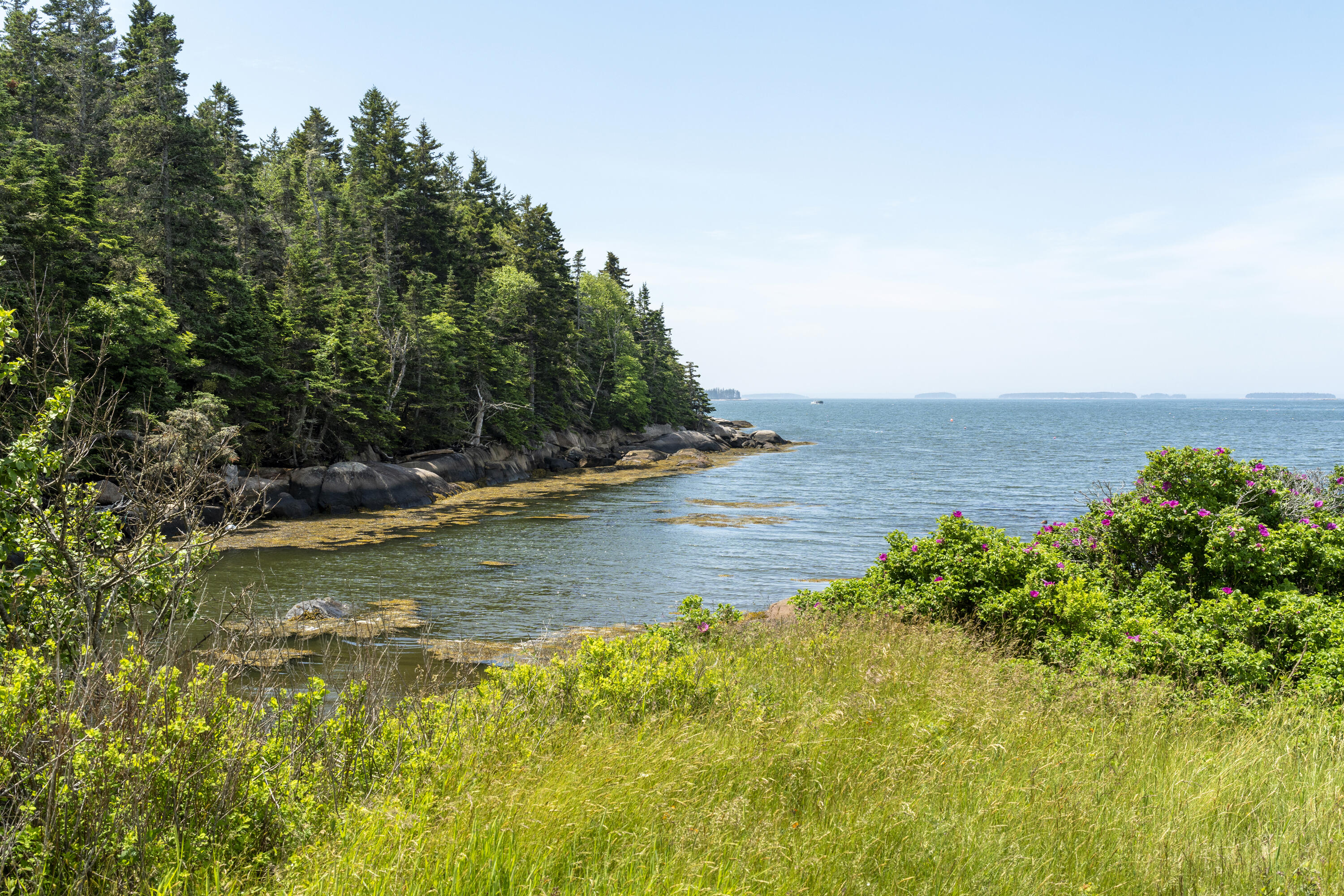 62 Mill Pond Road Beals ME 04611