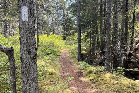 62 Mill Pond Road Beals ME 04611