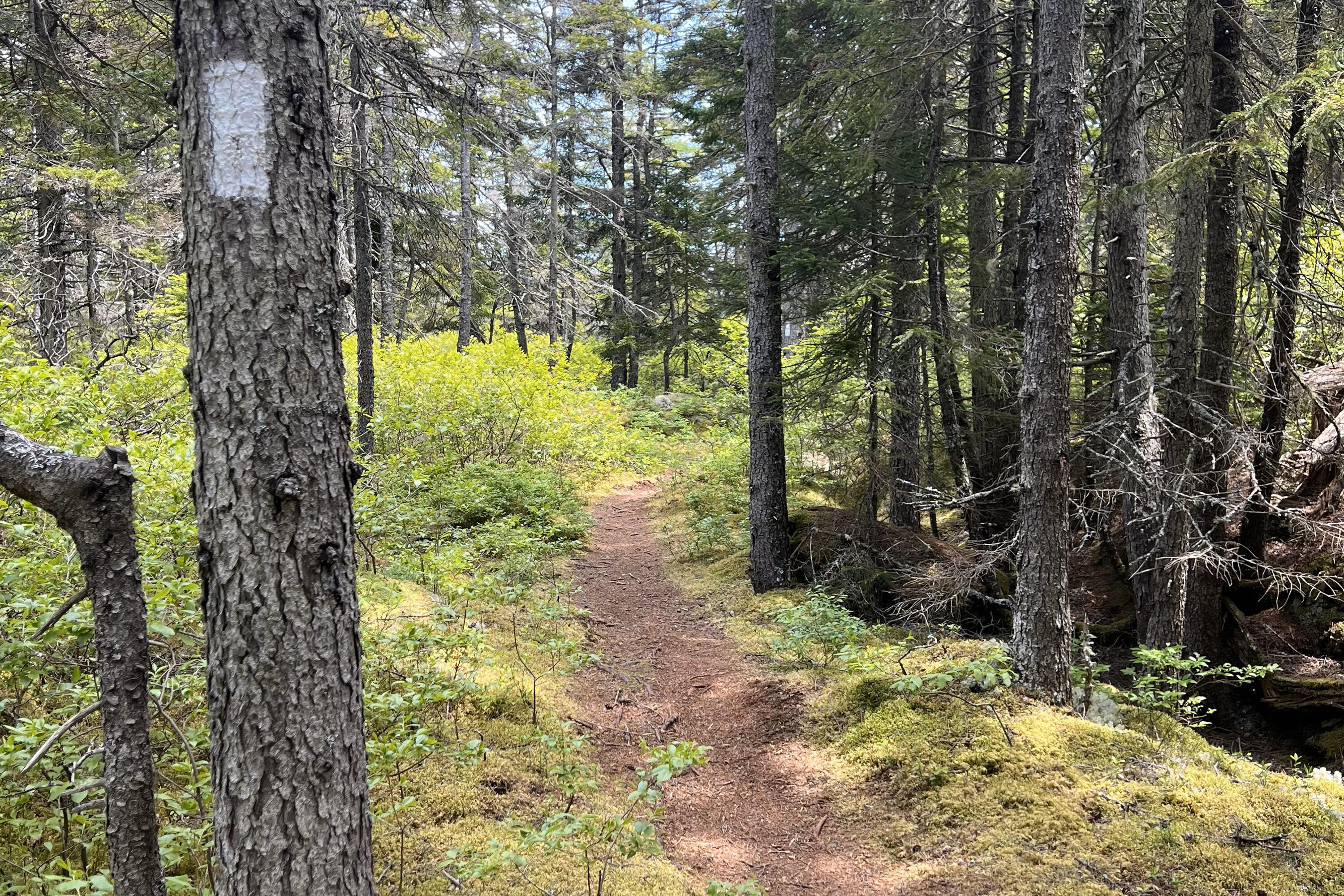 62 Mill Pond Road Beals ME 04611