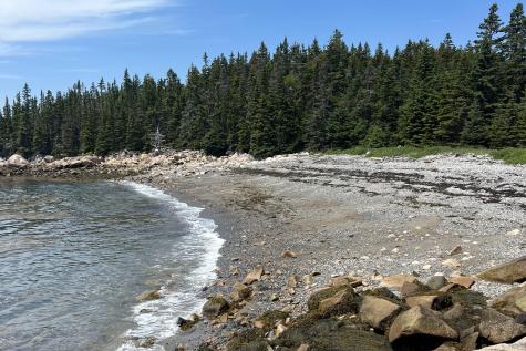 62 Mill Pond Road Beals ME 04611