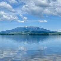 Pe 021 01 T1 R8 Wels ME 04462