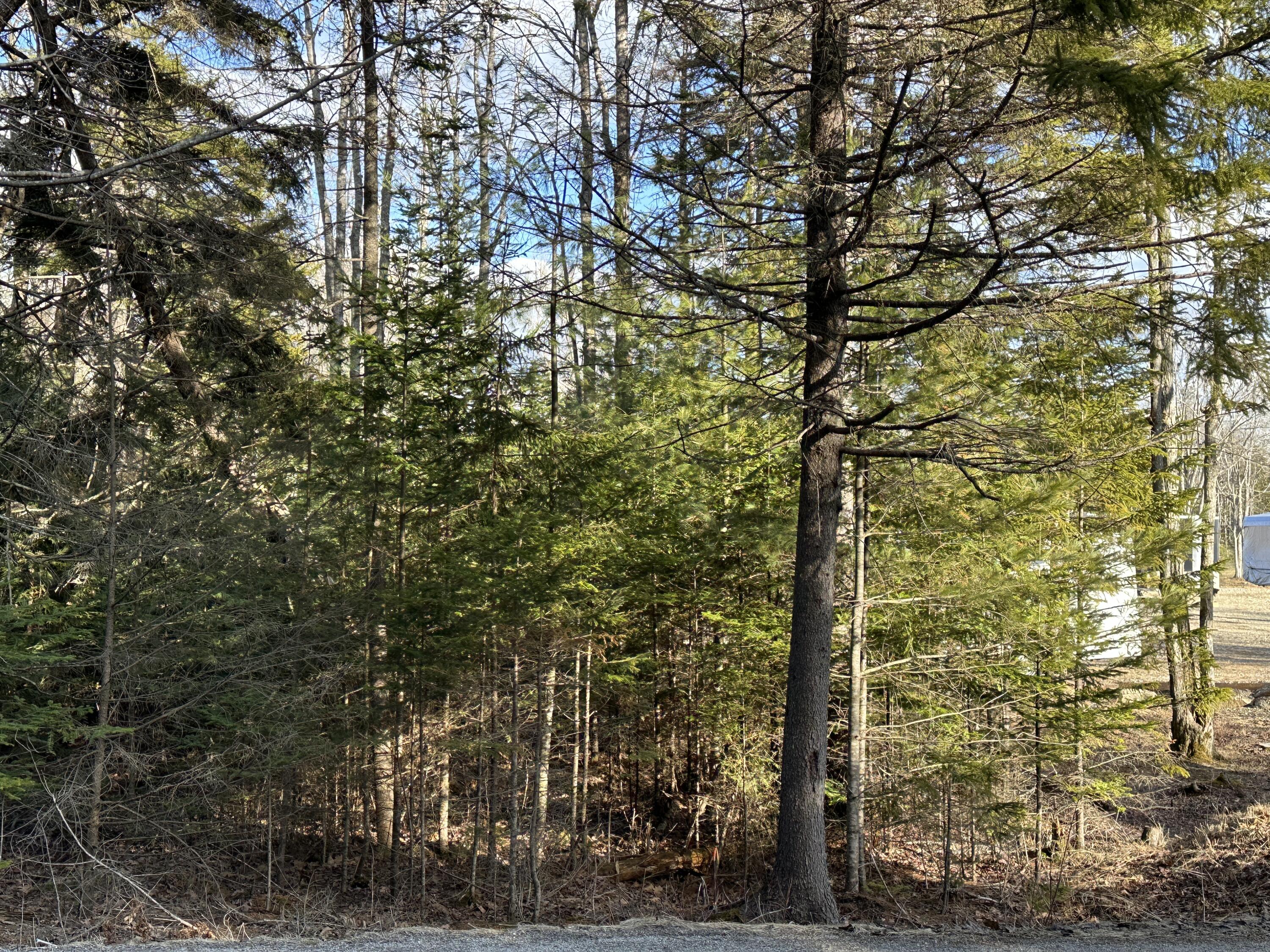 50 Cline Road Saint George ME 04859